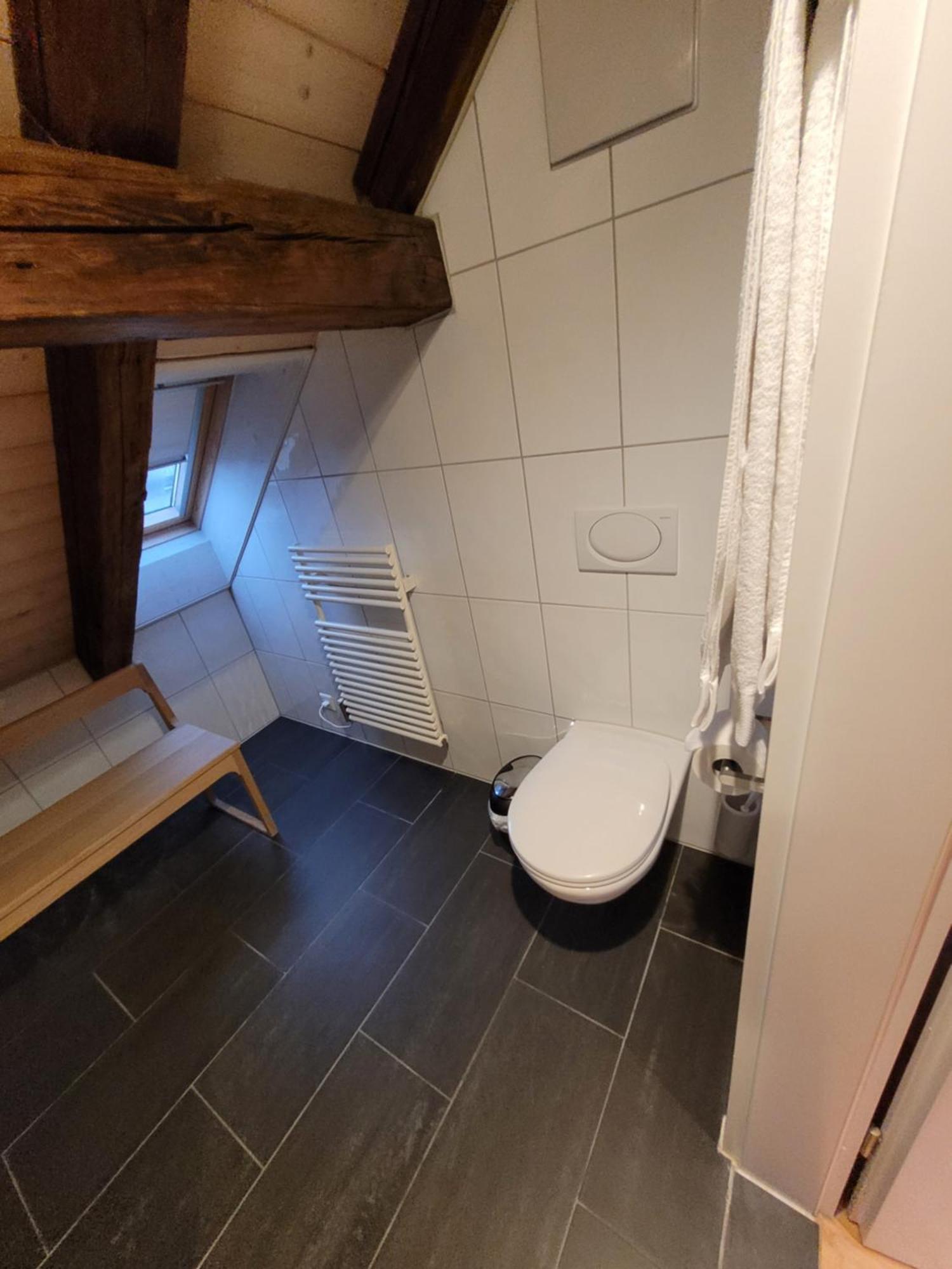 Le Bijou Lintheschergasse / Zurich Hb Værelse billede